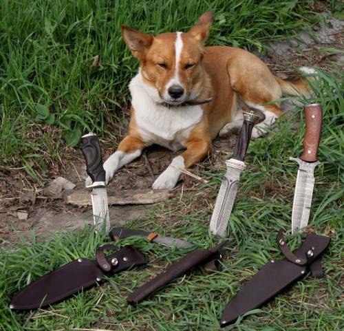 Knife_bim7461 - композиция собака и ножи.